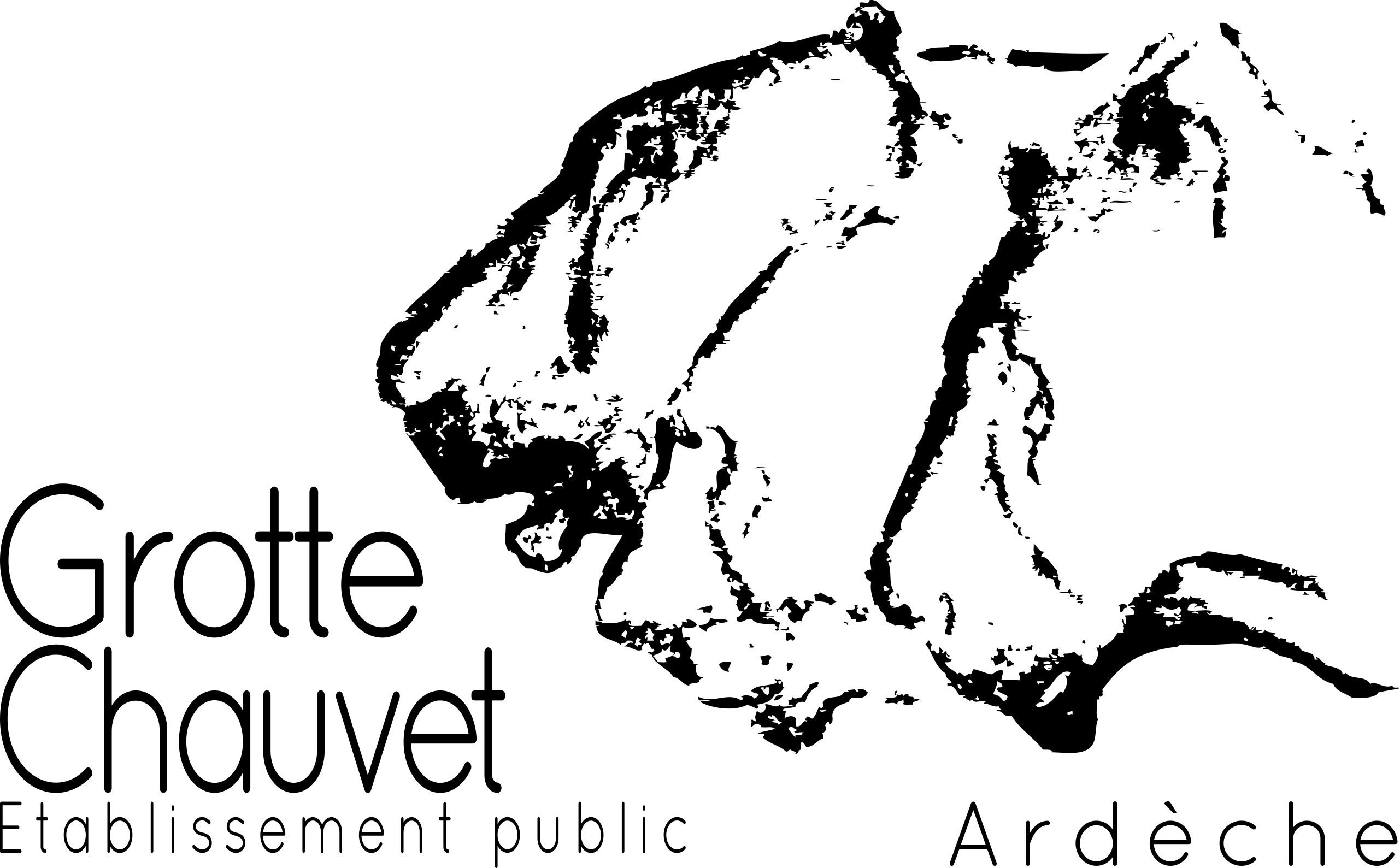 Syndicat mixte de l’Espace de restitution de la grotte Chauvet